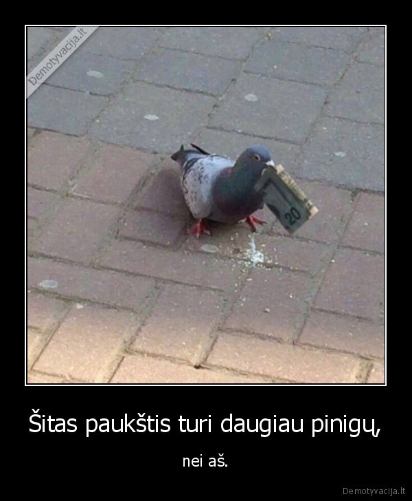 paukstis,pinigai,balandis,bomzas