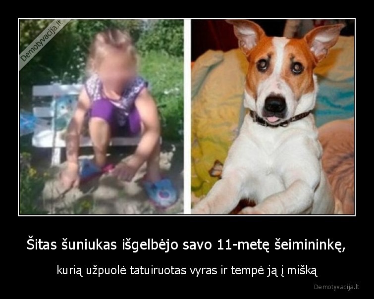 suo,draugas,didvyris,vaikas