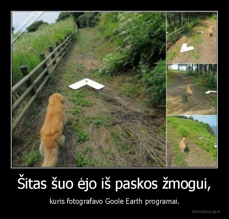 suo,zmogus,google, earth