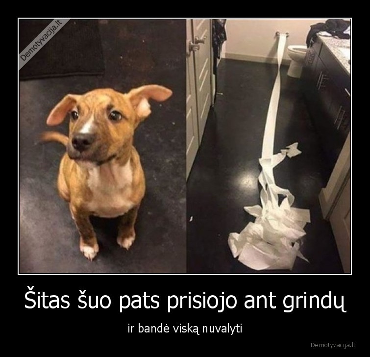 protingas,suo,prisisiojo,nuvale