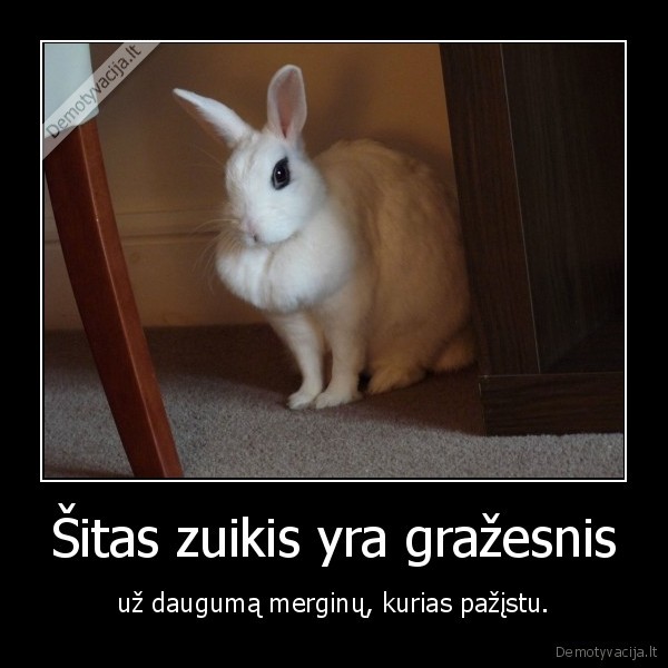 zuikis,mergina,grozis