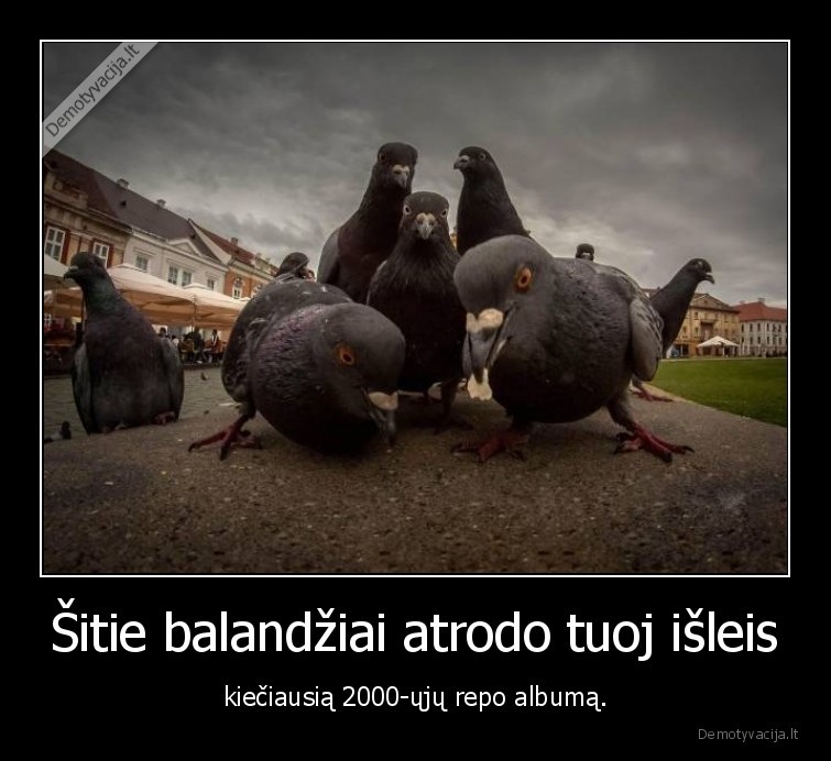 balandziai,repas,albumas
