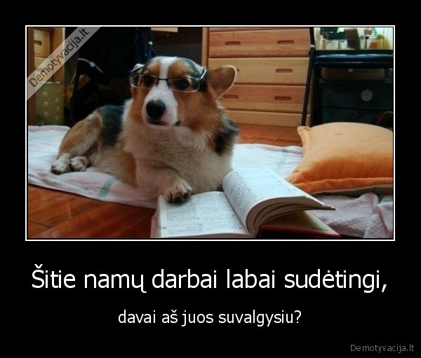 namu, darbai,suvalgyti,suo