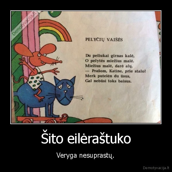 eilerastis,veryga,katinas,alus,pele