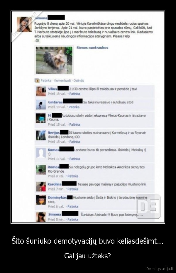 Šito šuniuko demotyvacijų buvo keliasdešimt...