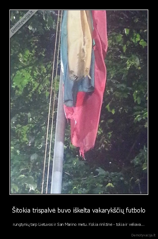 skuduras,lietuvos, veliava