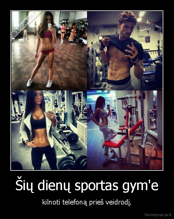 sportas,sveikata,kunas,gym,telefonas,foto,iphone,samsung