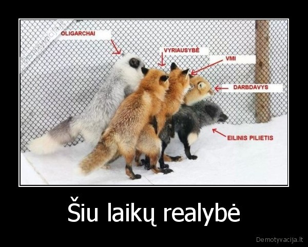 Šiu laikų realybė