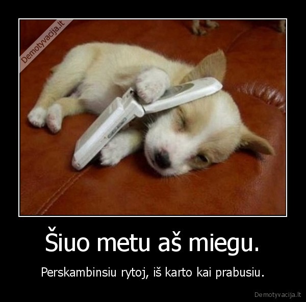 Šiuo metu aš miegu.