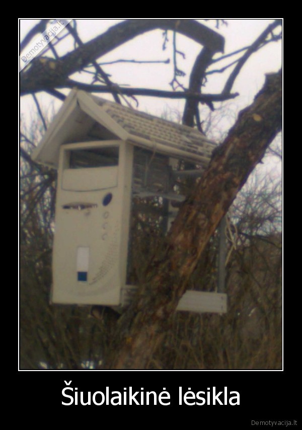 pauksciai,gyvenimas,namai