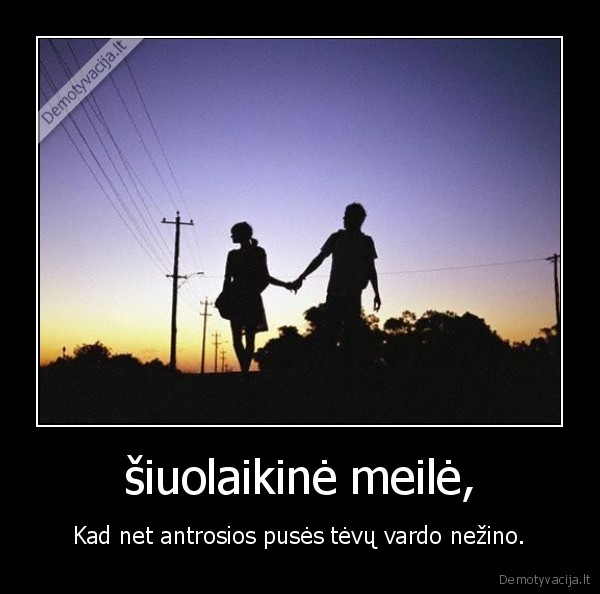 šiuolaikinė meilė,