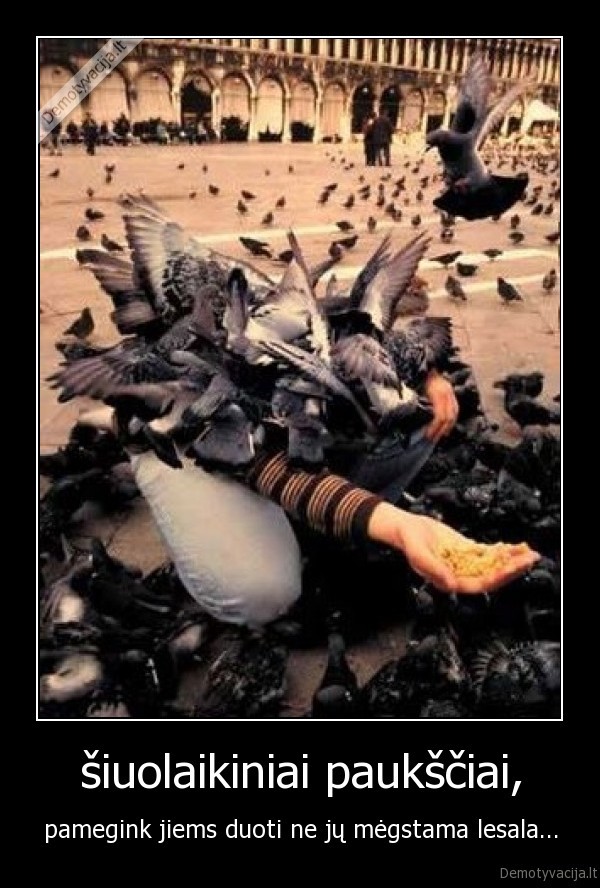 seimas, seima, meile, vertybes, pramogos, juokas, prikolai