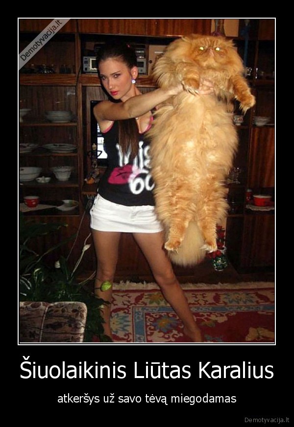 kate,katinas,liutas,karalius,simba,mergina