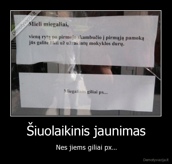 Šiuolaikinis jaunimas