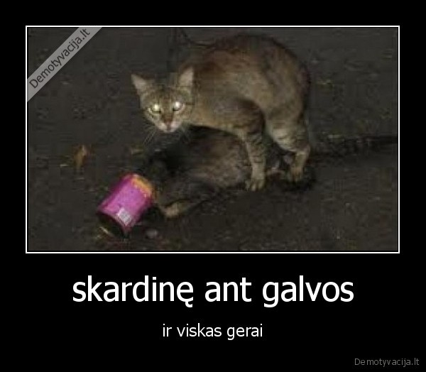 skardinę ant galvos