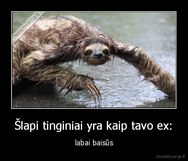 slapias,tinginys,ex,baisu