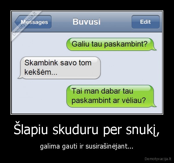 Šlapiu skuduru per snukį,
