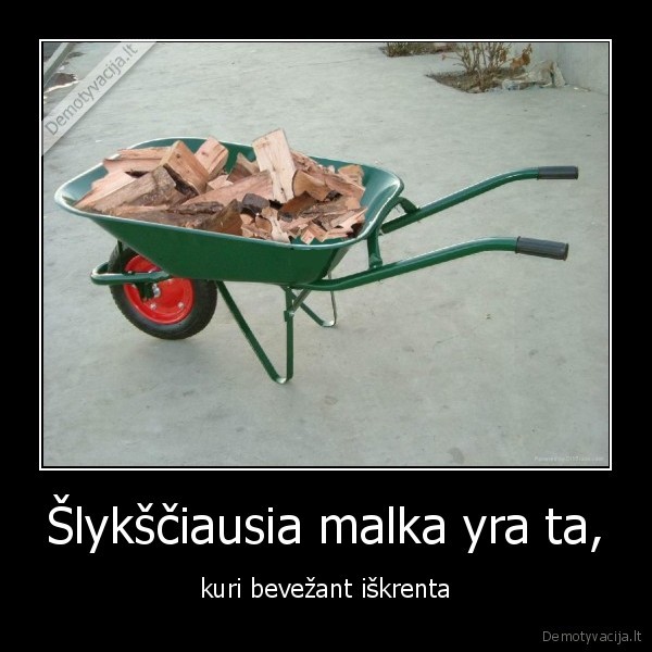 kai,vezi,malkas,labai,nervuoja,metau,malkas,i, langus,policija,risa