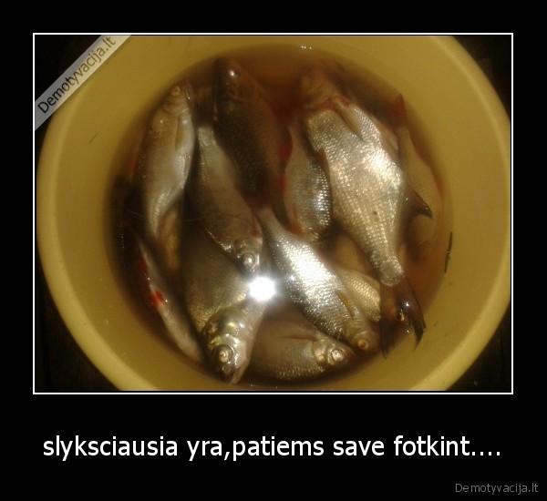 slyksciausia yra,patiems save fotkint....