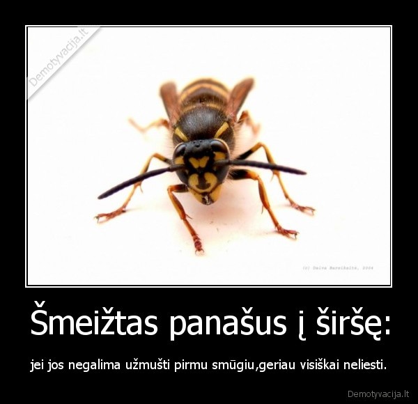Šmeižtas panašus į širšę: