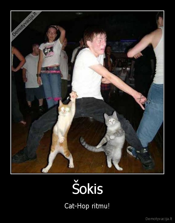 katinas,katinai,morcius,hiphop,sokis,dainuoti