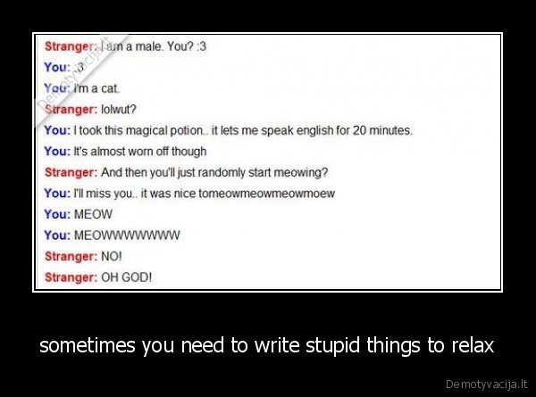 stupid,funny,simple,cat