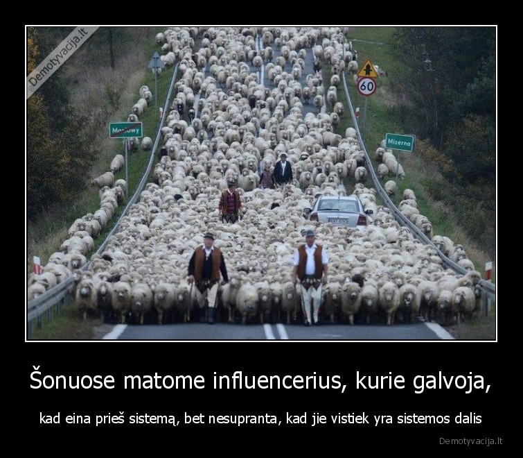 influenceriai,sistema,aviu,banda,avys