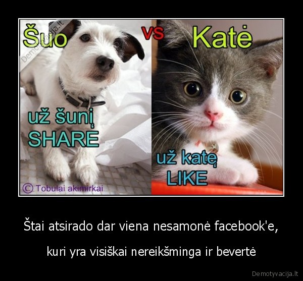 si, demotyvacija, tai, tik, perspejimas,kita, karta, imsiuos, krastutiniu, priemoniu