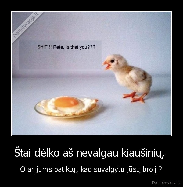 Štai dėlko aš nevalgau kiaušinių, 