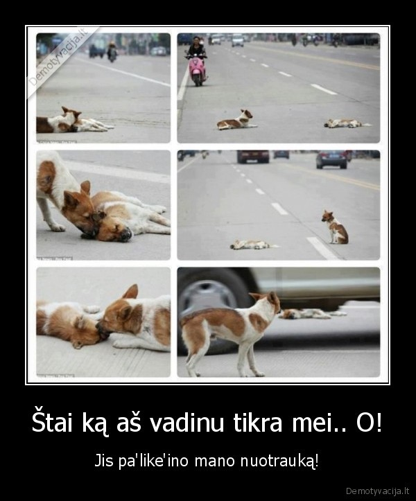 Štai ką aš vadinu tikra mei.. O!