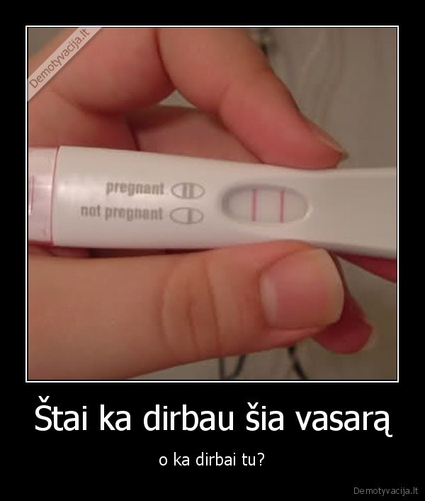 lasas, po, laso, ir, akmeni, prataso