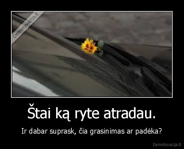 masina,grasinimas,padeka,rytas,gyvenimas