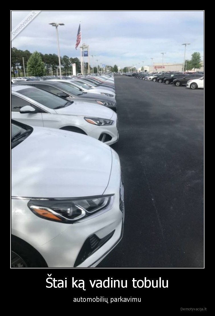 auto,parkavimas,tobulas
