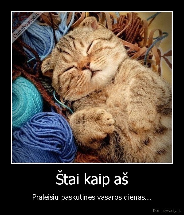 vasara,miegas,miegoti,pabaiga