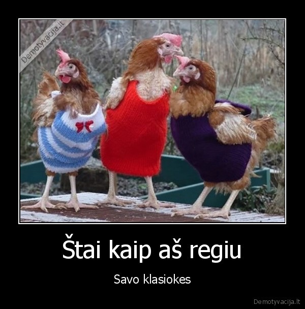 klasiokes, vistos,vistos, su, megztiniais