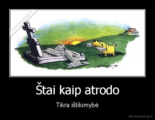 suo, geriausias, draugas,gyvunai,draugai,istikimas, suo