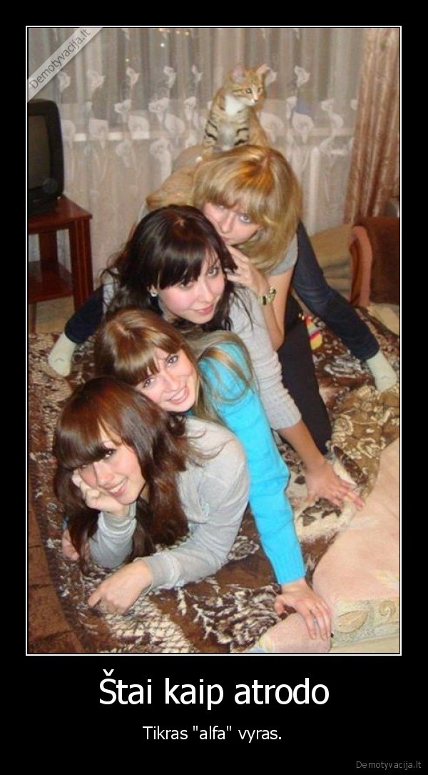 vyras,katinas,paneles