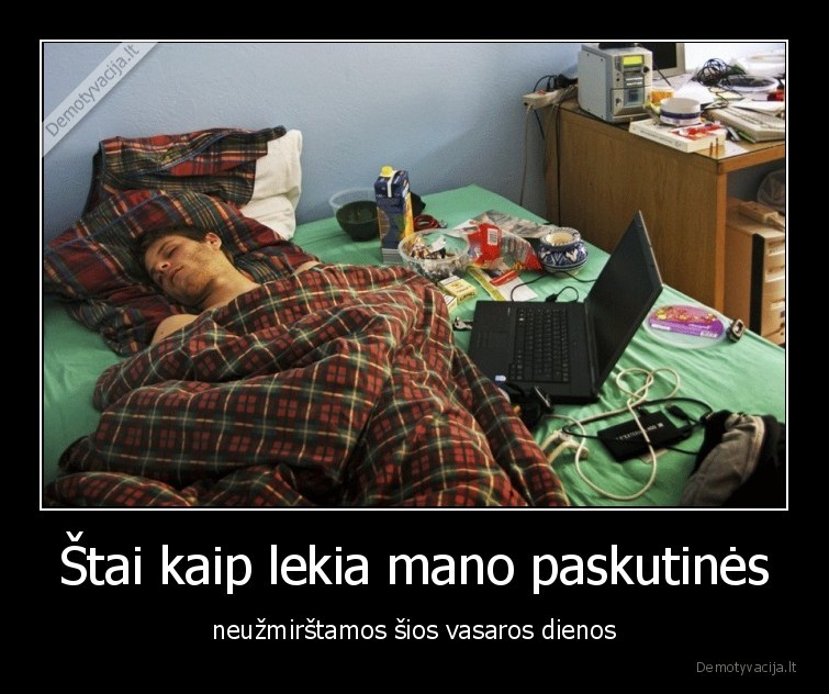 vasara,vasaros, dienos,paskutines, dienos,atostogos,miegas