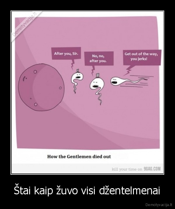 ach,tie,spermatozoidai