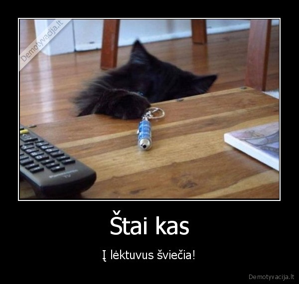 katinas,lazeris,sviecia