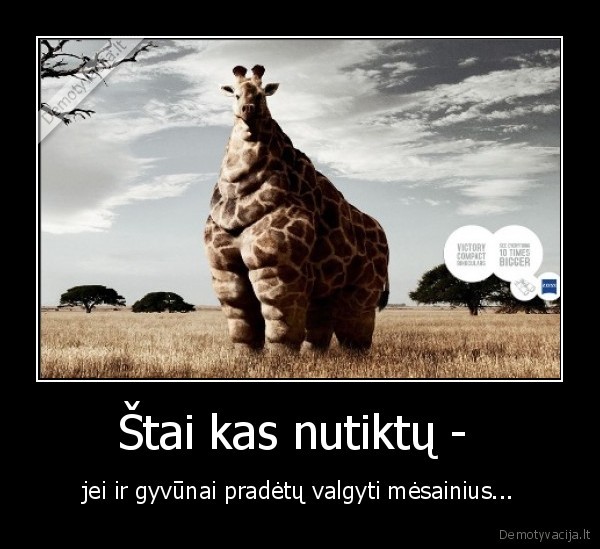 Štai kas nutiktų - 