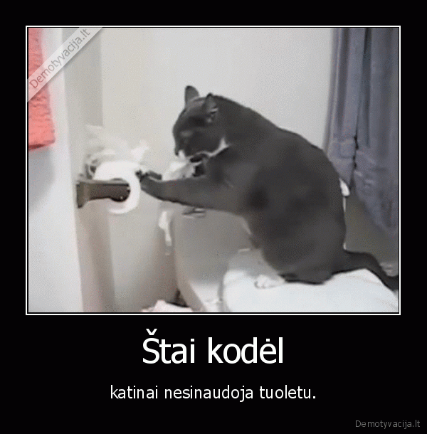 Štai kodėl