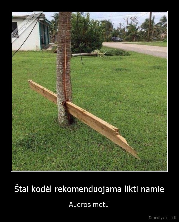 medis, iveike, medi,audra