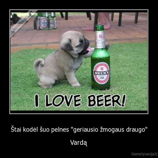 Štai kodėl šuo pelnes "geriausio žmogaus draugo"