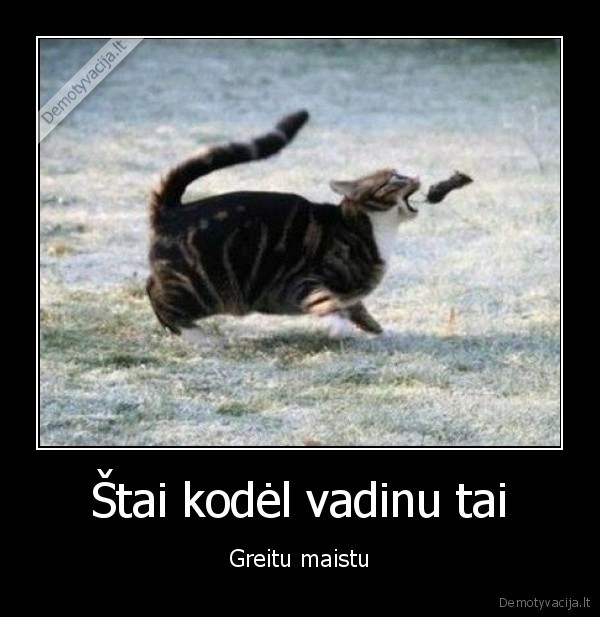 kate,maistas,pele,greita,fast, food