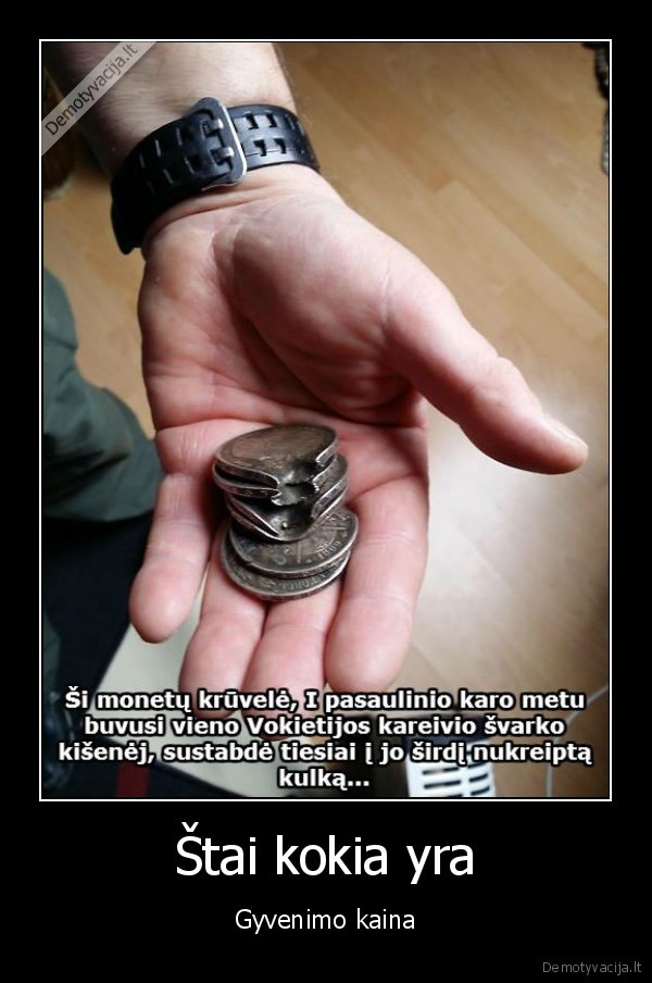 gyvenimo, kaina,isgelbejo, gyvybe,antras, pasaulinis, karas