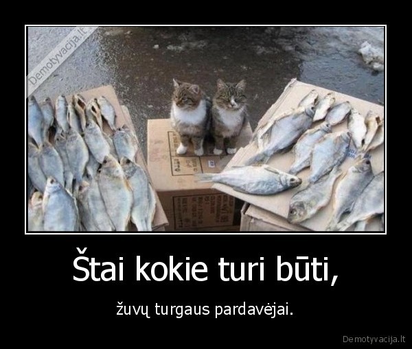 Štai kokie turi būti,