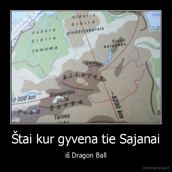 dragon, ball, z