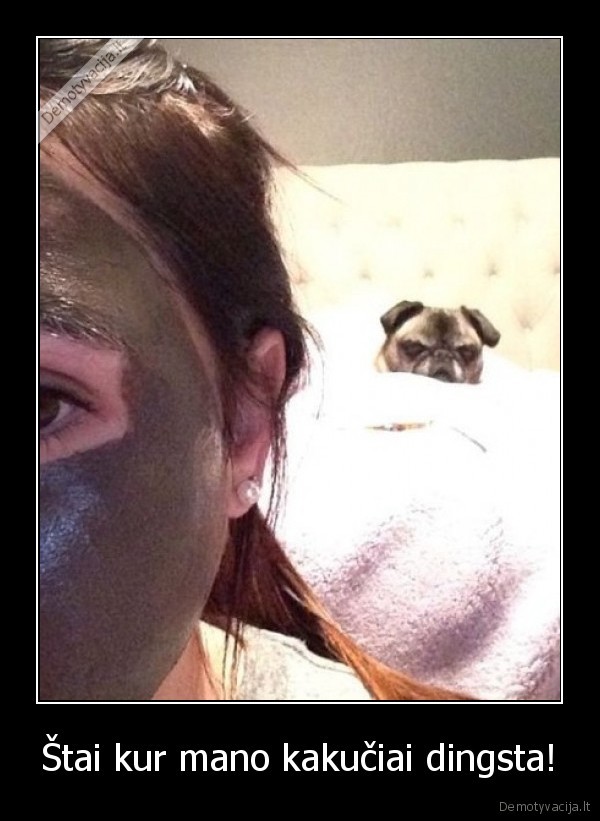 suo,kakuciai,kauke,veidas,grozis