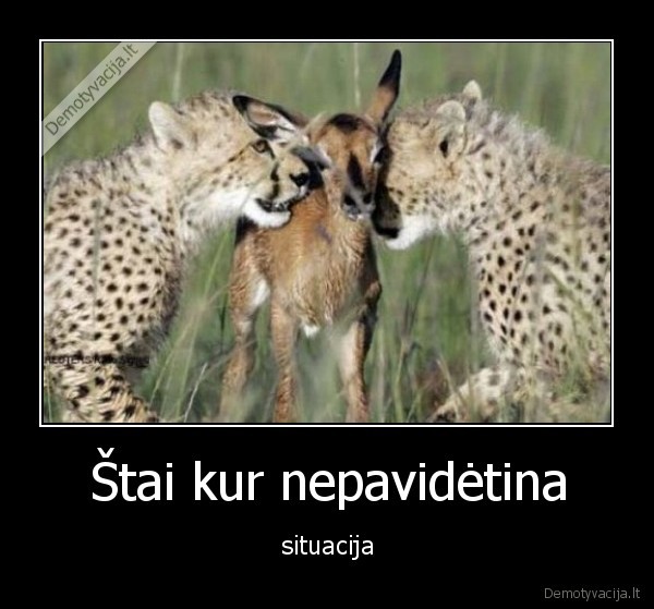 Štai kur nepavidėtina